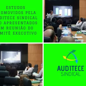 AUDITECE SINDICAL apresenta estudos em reunião do Comitê Executivo