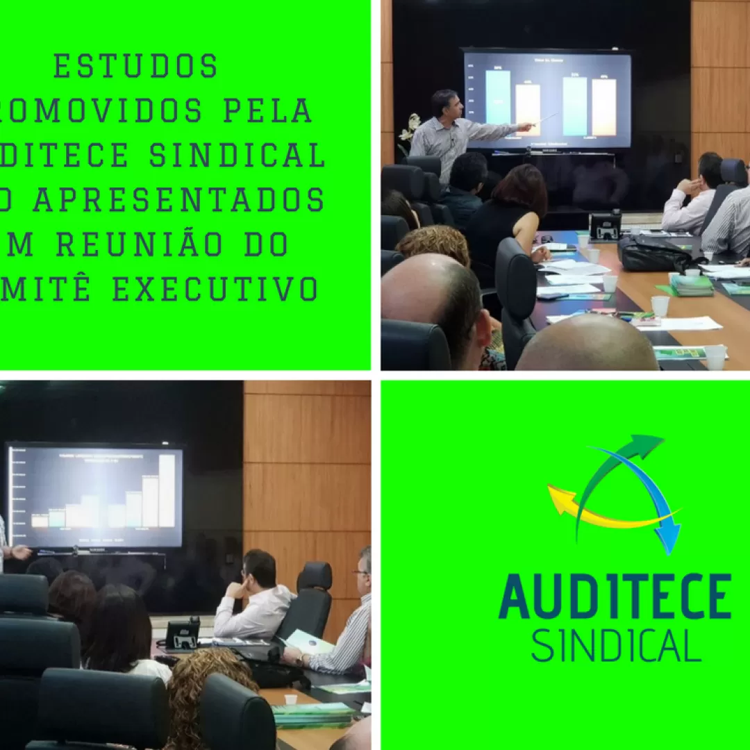 AUDITECE SINDICAL apresenta estudos em reunião do Comitê Executivo
